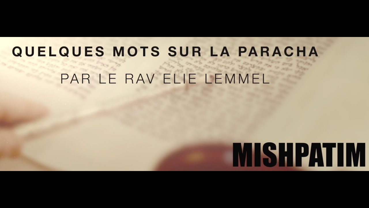 Tout pour la Paix ?! Rav Élie Lemmel - Parasha Mishpatim