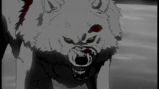 Wolf' Pack vs EVERYBODY PT 2
