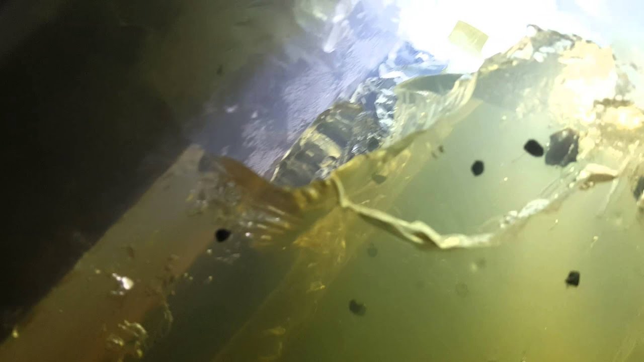 NEW .380 ACP Glaser Silver Safety Slug Gel Test 7 inches spread and 9