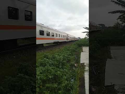 Train Running On The Sea#shorts #english #usa #cartoon