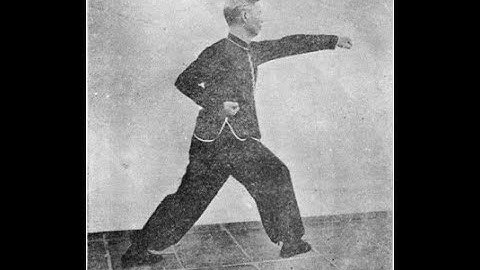 崩捶 Part 26: Seal and Thrust Punch Preceding [Praying Mantis Kung Fu 螳螂拳]