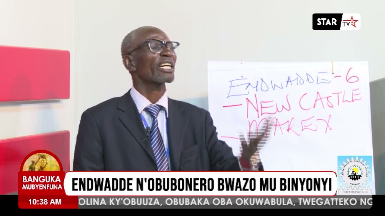 OKULUNDA ENKOKO KYANGU NNYO SINGA OKOLA BINO WAMANGA NE MUSAWO ISA LUIGALE