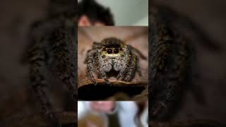 Lexi Rivera Tried To HIDE THIS! | #short #youtubeshort #fyp