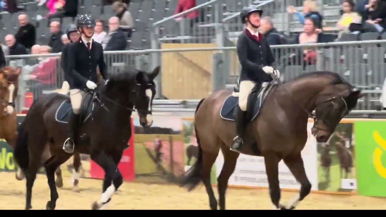 Beruf Pferdewirt - Grüne Woche 2026