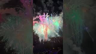 Walt Disney World Fireworks 2026