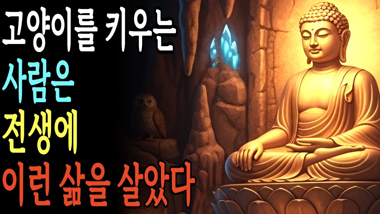 고양이를 키우는 사람 전생에 이런 삶을 살았다