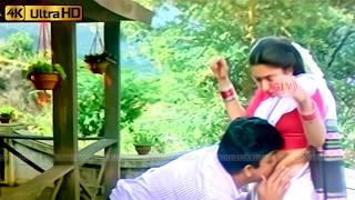 ரெண்டுல ஒன்ன தொடு பாடல் | Rendula Nee Song | Ilaiyaraaja | S. Janaki | Thirumathi Palanisamy