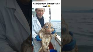 Animals Went extinct came back #animals #wildliferescue #cute #pets