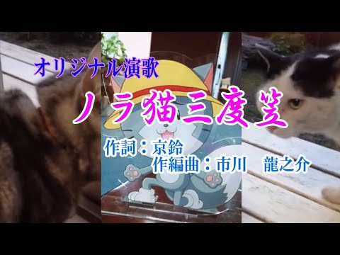 オリジナル演歌♪ノラ猫三度笠♪カバー男宿&メロカラ&カラオケなど YouTube