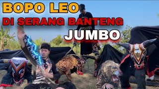 gara gara kalian BOPO LEO DI SERANG BANTENG JUMBO-arekbudoyo