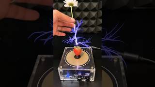 Tesla Coil Experiment 😱 #experiment