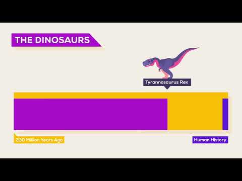 Time The History  Future of Everything – Remastered