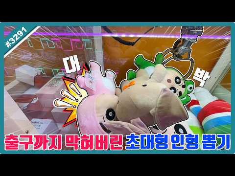 출구까지 막혀버린 초대형 인형 <strong>뽑기</strong>!? '샤갈'뽑다 샤갈 <strong>뽑기</strong> 돼버렸습니다ㅋㅋㅋ (고니두욘몬 20260730) #3291