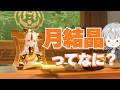 【原神】凝光とイルーガを使って月結晶を学んでから兹白のガチャ回したら…
