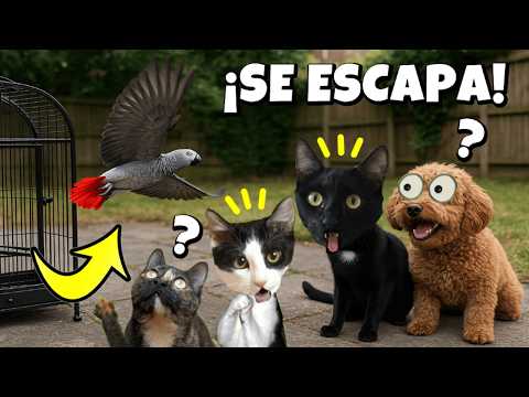 ¡El LORO se ESCAPA de CASA! 😱 GATOS, PERROS y FAMILIA NO PUEDEN ENCONTRARLO | Luna y Estrella