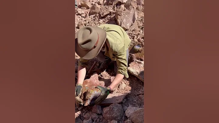 One of the best agates ever found #shorts #rock #hunting #crystals #Agate