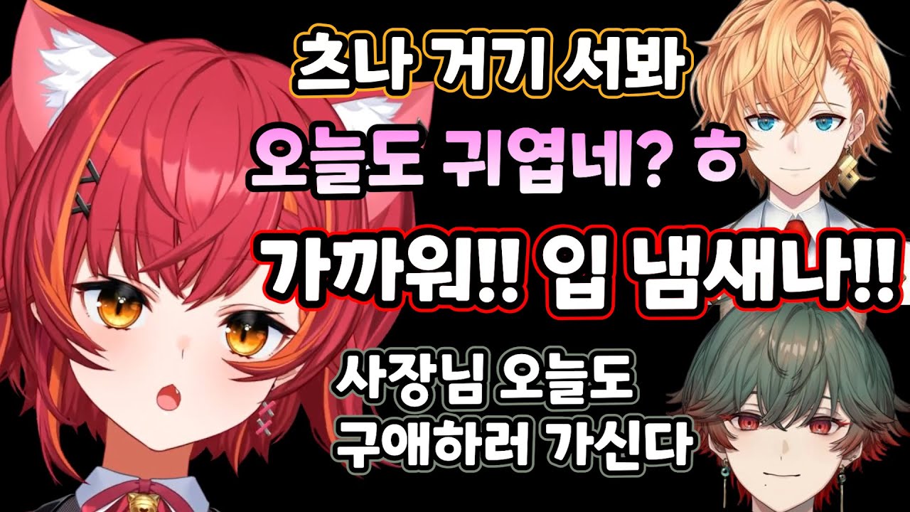 [브이스포] 한국어가 편해도 일본어로 겜하는 이유 [네코타 츠나]