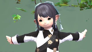 [Glamour] Cute company tabard coordination that can be worn for all jobs ~Final Fantasy XIV~