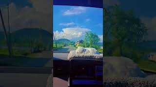 HANDWARA TO MAGAM