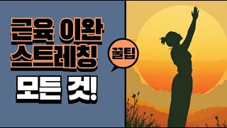 근육 이완 스트레칭으로 몸과 마음 관리하는 법! 효과 200% 올리는 꿀팁 공개