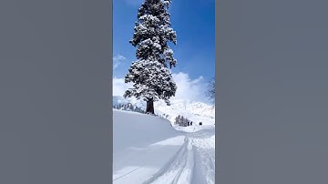 Best time to visit Kashmir to enjoy Snowfall? #snowfall #kashmir #shortsfeed