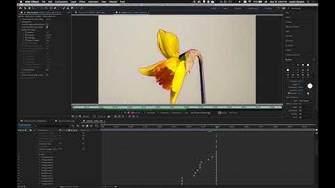 After Effects 2020 : Animating Masks and Rotobrush : Part 2 : Rotobrush