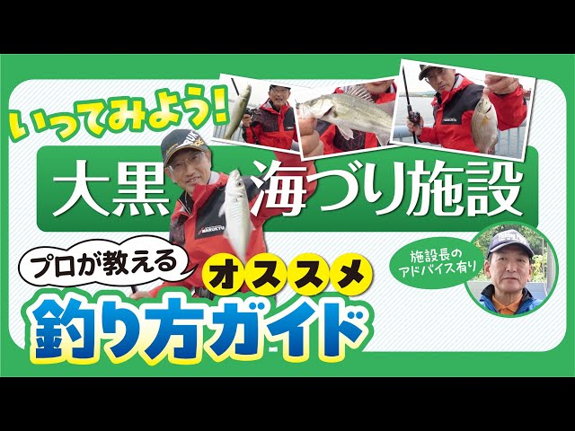 Daikoku Sea Fishing Facility] Professional Sea Fishing Park Guide