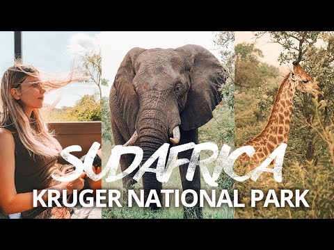 Video: Suggerimenti Da Sapere Prima Del Tuo Primo Safari Africano - Viaggio