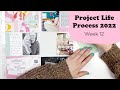 Project Life Process 2022- Week 12
