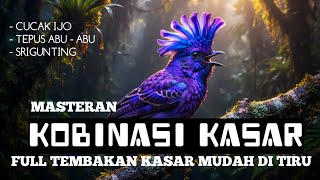 2 jam Masteran Kombinasi Kasar Terbaik | Full Tembakan Isian Cucak Ijo, Tepus Abu-Abu, & Srigunting