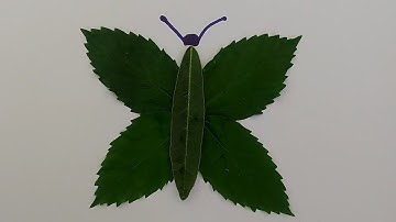 Activities for preschool kids | leaf animals for kids | Activities for 3 - 4 years kids