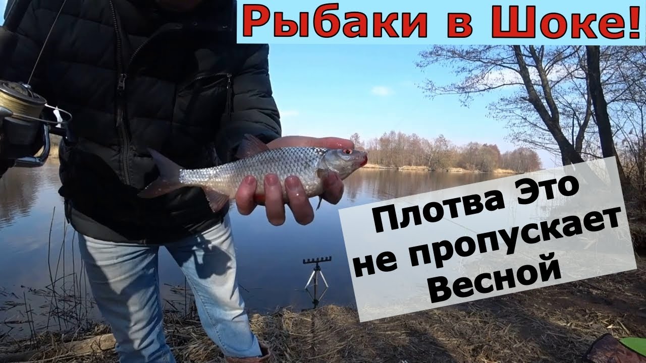 СЕКРЕТНЫЙ Аромат для Рыбалки Весной. Плотва не может устоять