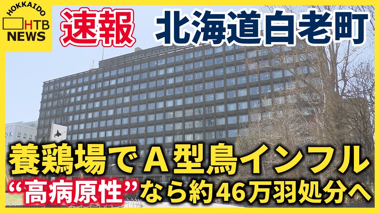 鳥 インフルエンザ 速報