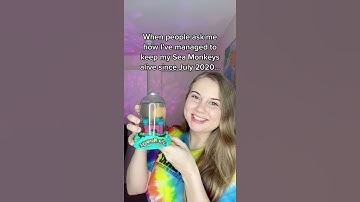 Do you want to learn how to keep your Sea Monkeys alive?