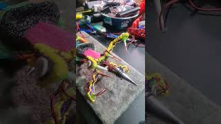 The Tempest multi Ark array