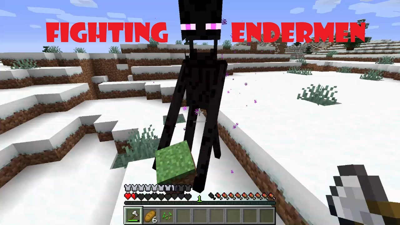 What People Do and what YOU should do Fighting Endermen YouTube