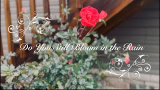 “Do You Still Bloom in the Rain” | Gospel Music Video | Dan & Amanda | Original Song