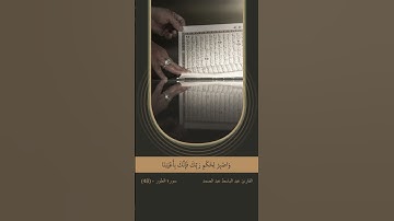 آية (48) من سورة الطور - (وَاصْبِرْ لِحُكْمِ رَبِّكَ فَإِنَّكَ بِأَعْيُنِنَا ۖ وَسَبِّحْ .....)