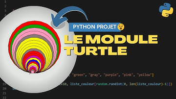 PYTHON Projet Complet: Réaliser une figure avec turtle !!!