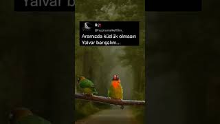 Yalvar Barişalim :) Resimi