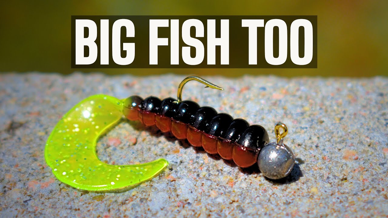 Ultralight is the Most Fun You can Have Fishing | Summer Bass Fishing