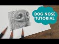 Step-by-Step Guide to Drawing a Dog Nose with Graphite Pencils