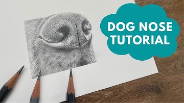 How to Draw a Dog Nose in Graphite Pencils - Real Time Tutorial