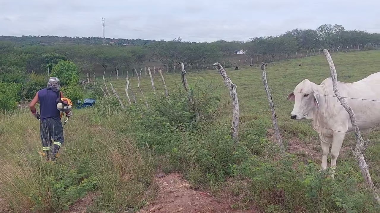 Bora roça 🫡🫡🫡
