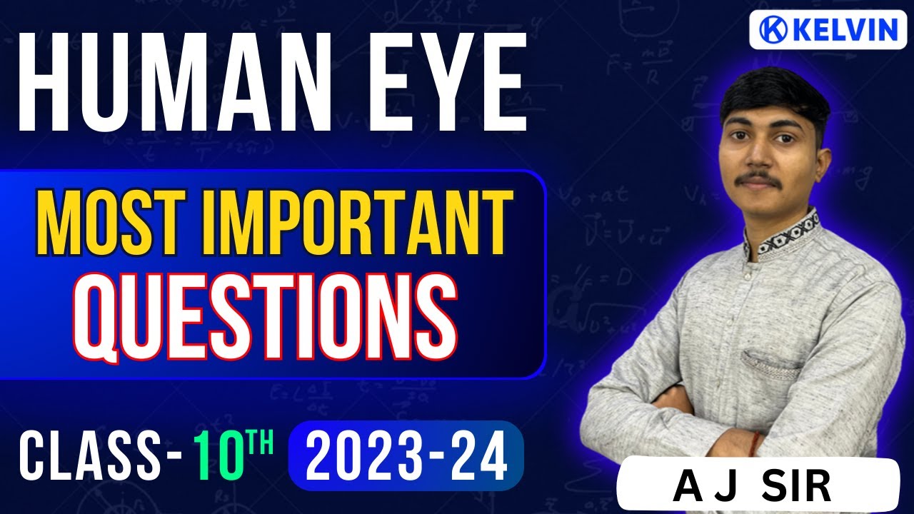 What Is Human Eye Class 10 Answer