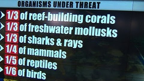 Are humans changing the world faster than animals can evolve?