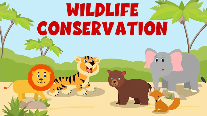 Animal Conservation Video - Wildlife Conservation - Learning Junction thumbnail