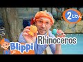Dino Days: Blippi Meets Stanley | ☆ 英語を学ぶ ☆ ブリッピー 日本語 ☆ 子供け教育動画 Blippi
