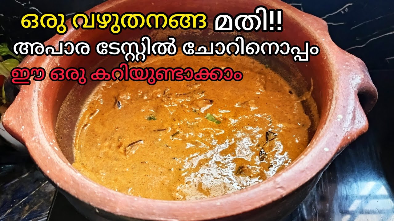 ചോറിനൊപ്പം ഒരു സ്പെഷ്യൽ വഴുതനങ്ങ കറി!!Vazhuthananga Curry || Recipemalayalam 