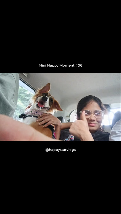 Dog’s First Time in Car 🚗💛   Beach Day with Friends! | Ivy’s Mini Moment #vasai #vasaibeach